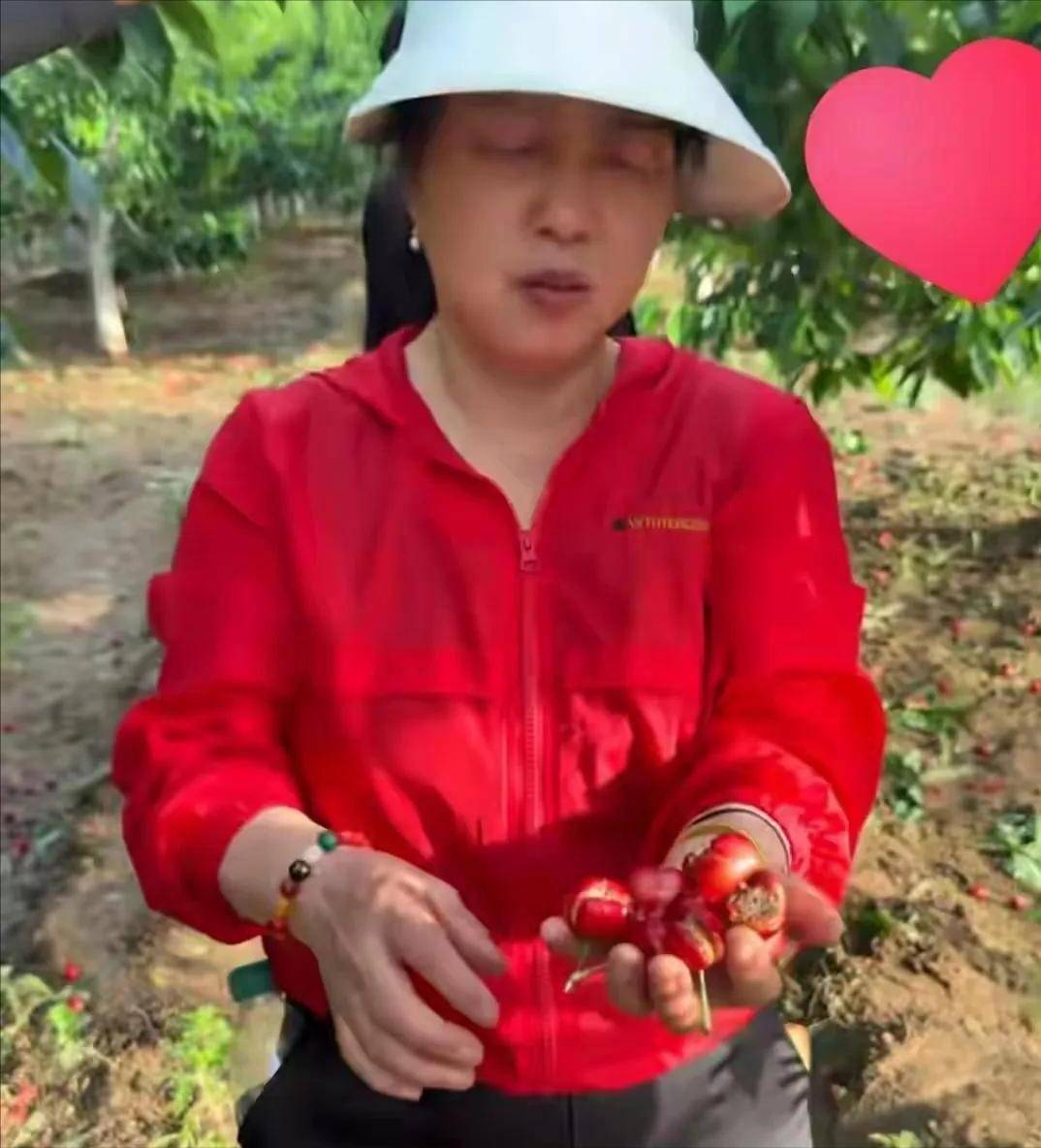 李雨禅刑拘后续:封号后果农含泪曝细节,民事追责