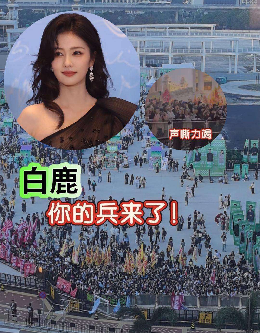 白鹿被黑反转:六连声明打脸谣言,人设保住了?