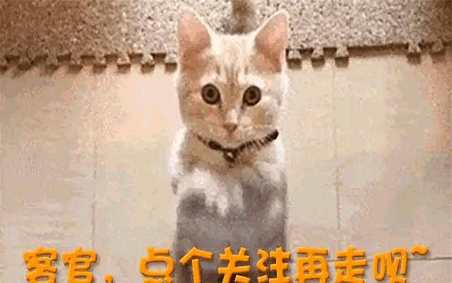 白鹿风波升级:十万红包能否买回口碑?