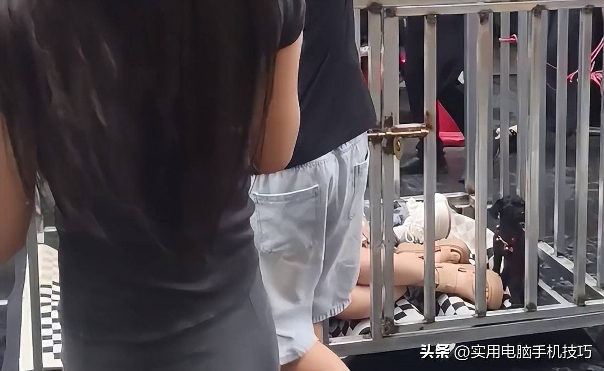 湖南女子浸猪笼后续:8人全被刑拘,网红低俗PK被严惩