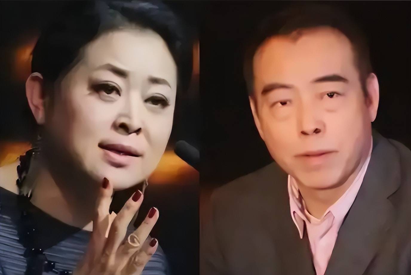 倪萍屡错,名利难自救