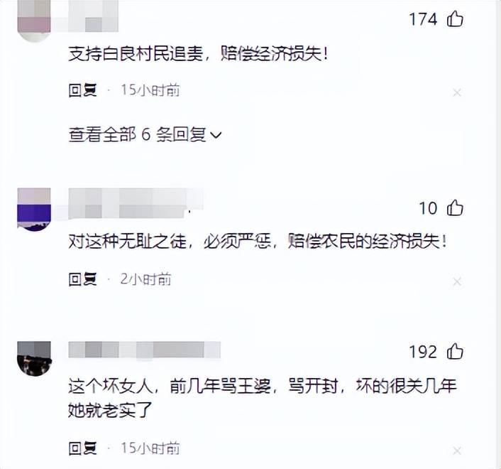 李雨禅刑拘后续:封号后果农含泪曝细节,民事追责
