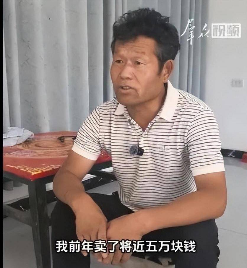 李雨禅刑拘后续:封号后果农含泪曝细节,民事追责