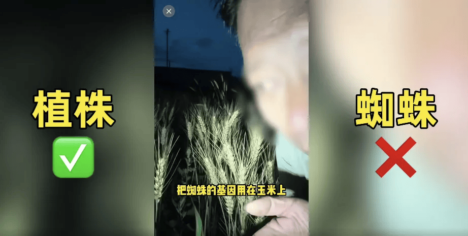 200万网红造谣袁隆平杂交水稻？账号被封！