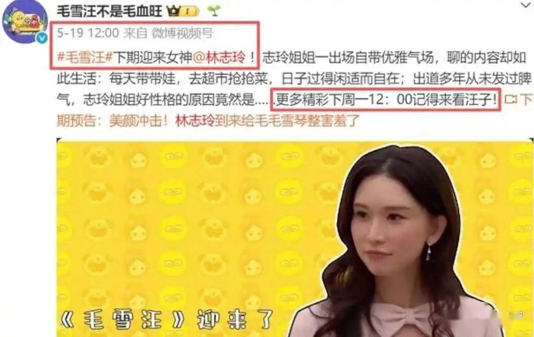 林志玲20年人设崩塌封杀内幕