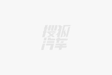 王力宏代言腾势获千万,全部买股票引热议
