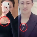 张颖颖用”索命、保命”概括汪小菲，当年介入大S婚姻